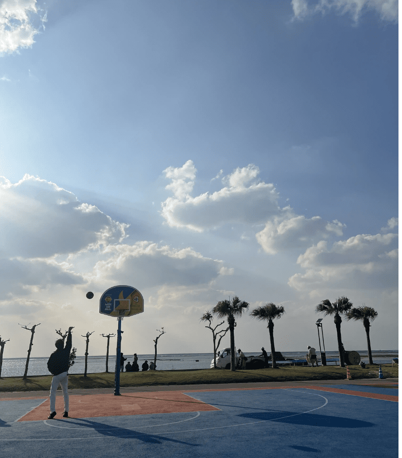 hoops traveler cover